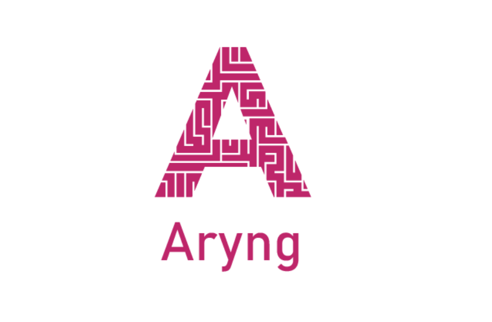 ridigital Case Study with Aryang