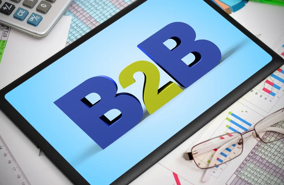 Beyond Contact Info Deeper B2B Insights with RI Digital