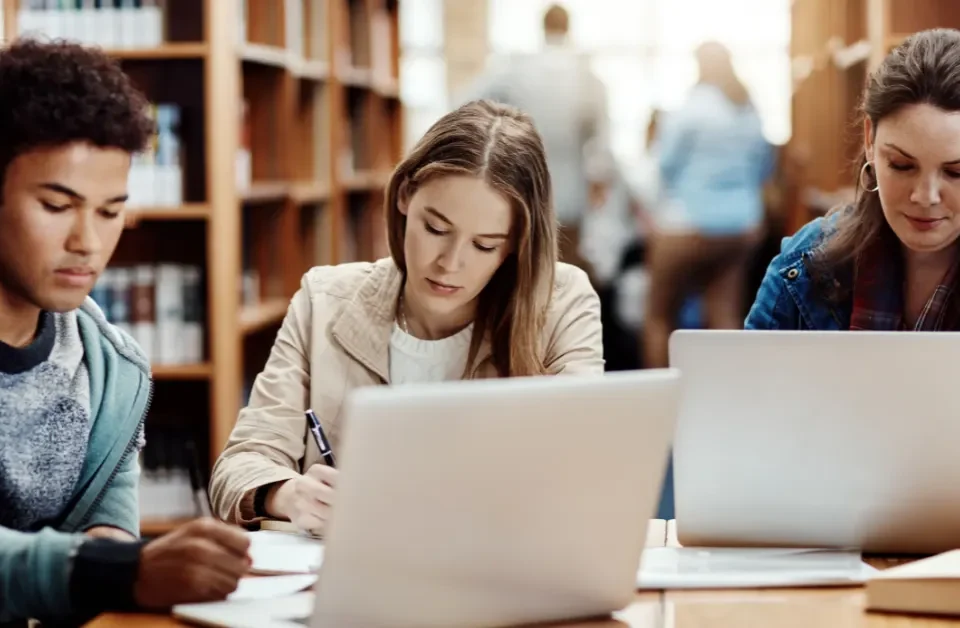 Custom Databases for Universities: How RI Digital Research Supports Higher Education
