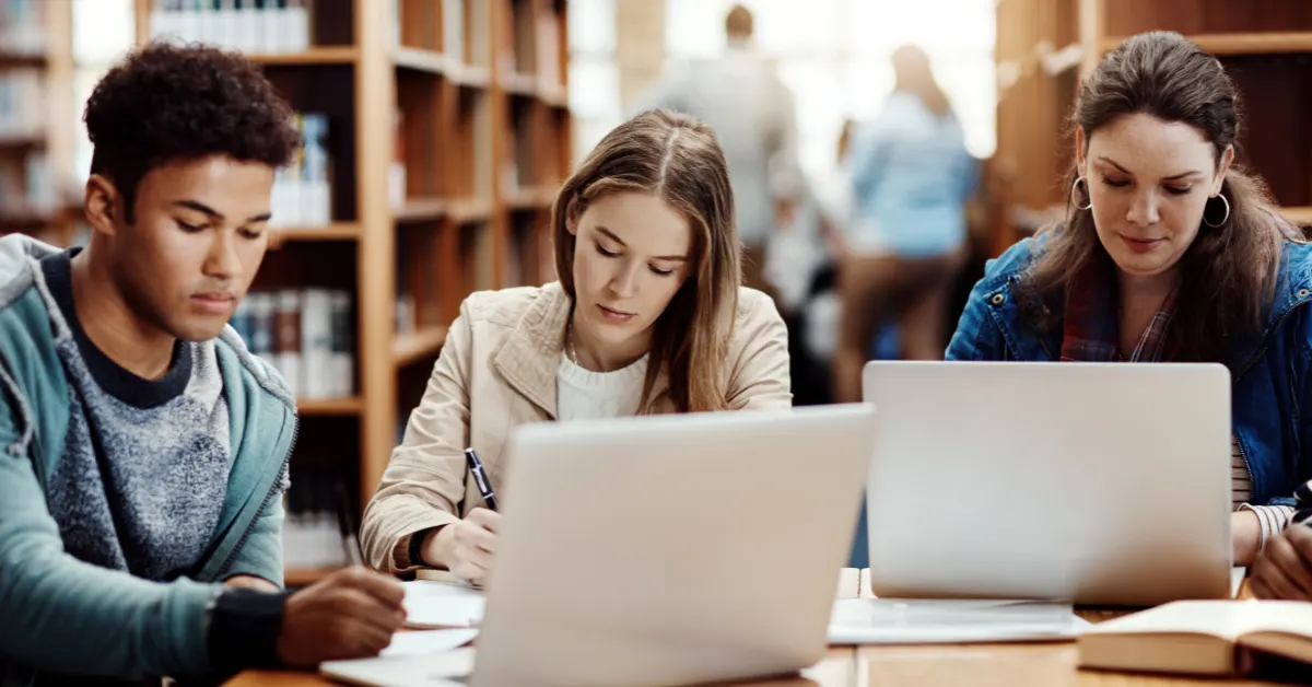 Custom Databases for Universities: How RI Digital Research Supports Higher Education